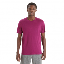 Icebreaker Merino Tech Lite II T-Shirt Herren